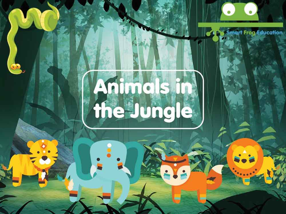 Animals in the Jungle