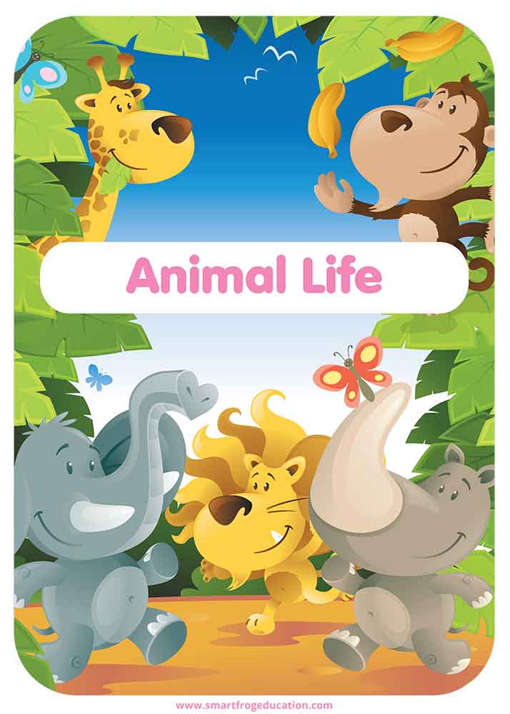 Animal Life