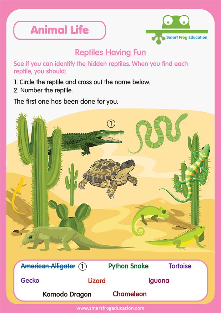 Reptiles Having Fun