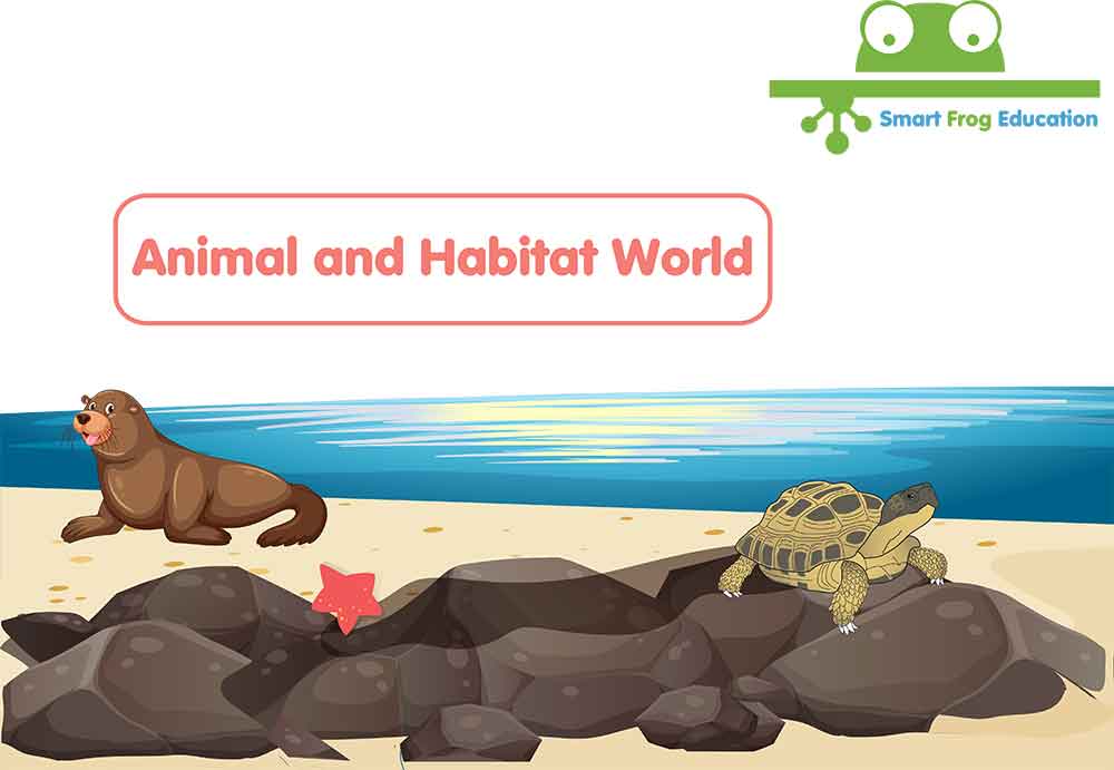Animal and Habitat World