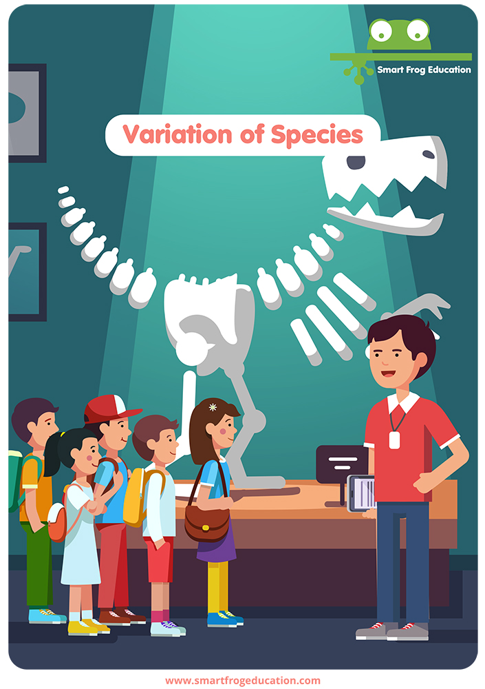Variation of Species 