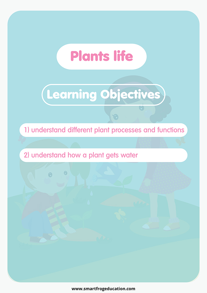 Plants Life