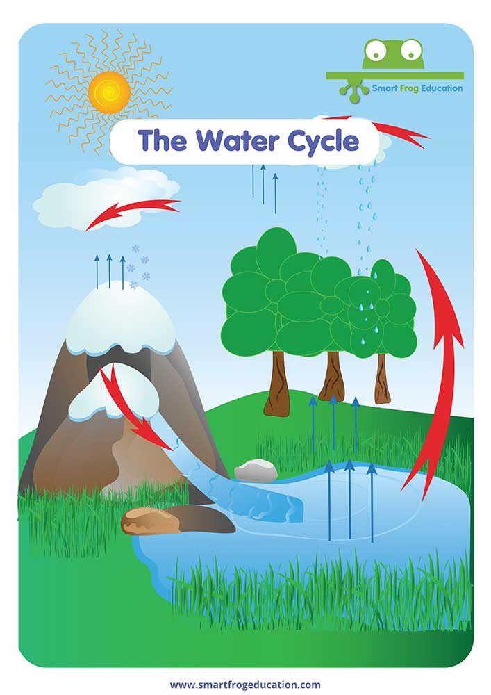 The Water Cycle Process