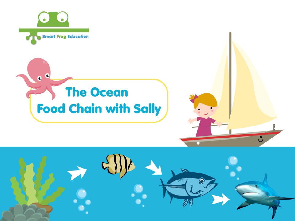 The Ocean Food Chain with Sally 