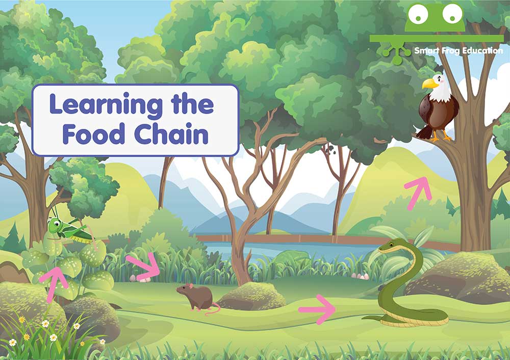 Learning the Food Chain 