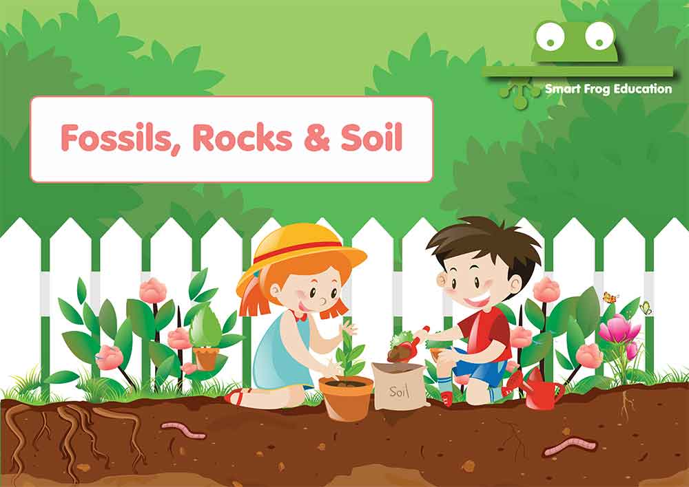 Fossils, Rocks and Soil 