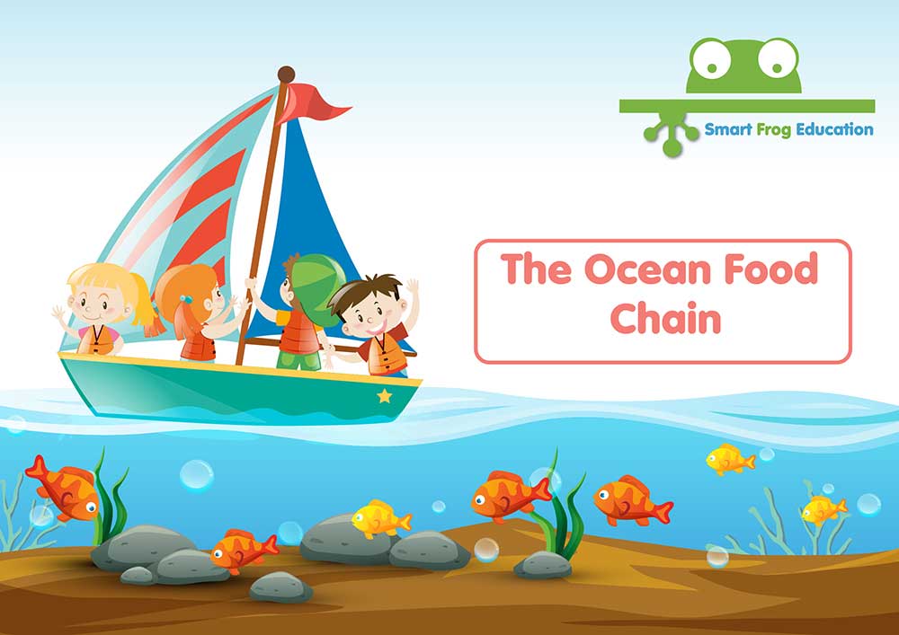 The Ocean Food Chain 