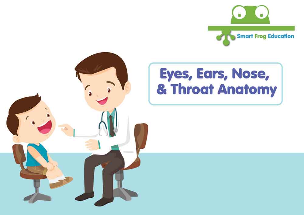 Eyes, Ears, Nose and Throat 