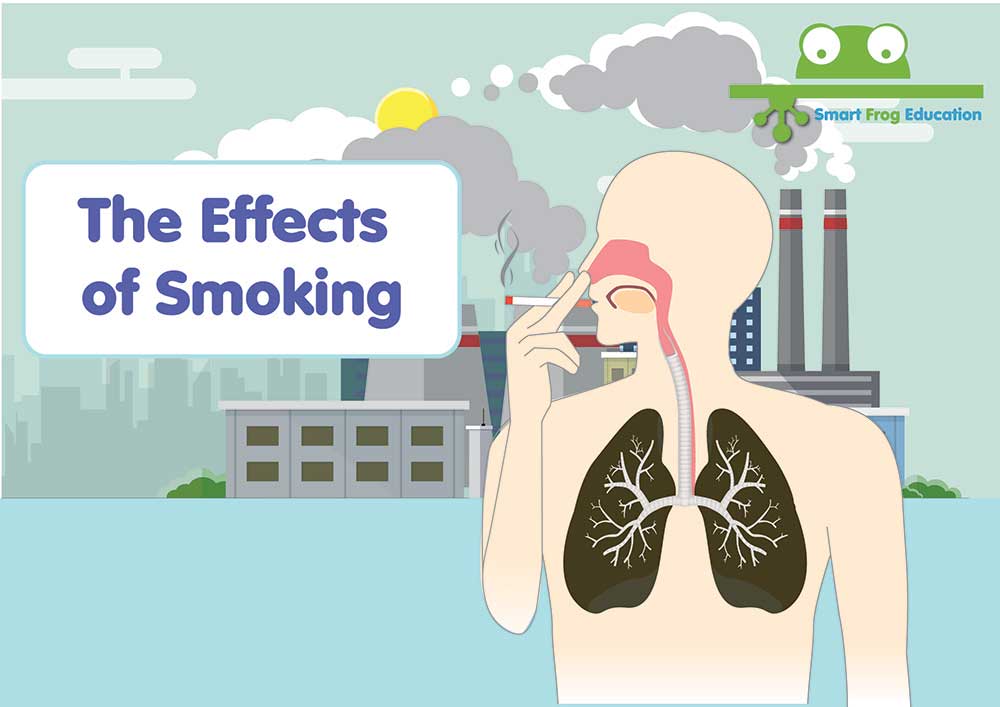 The Effects of Smoking 