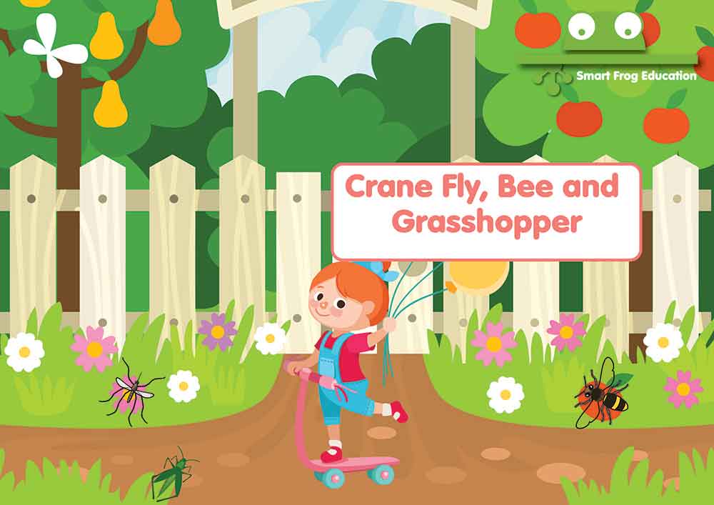 Crane Fly, Bee and Grasshopper