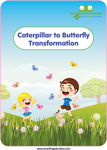 Caterpillar to Butterfly Transformation