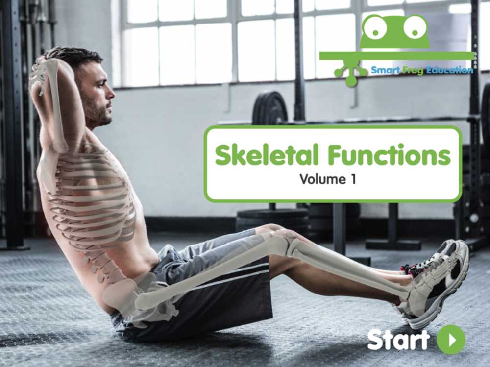 Skeletal Functions