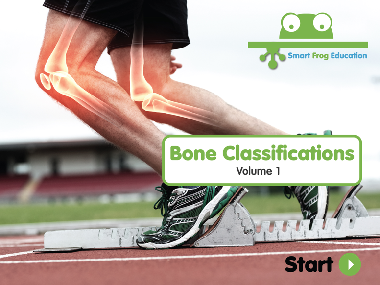 Bone Classifications