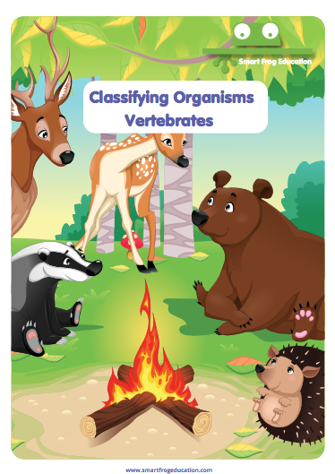 Organism Classification Vertebrates 