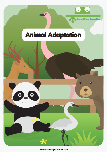 Animal Adaptation | Smart Frog